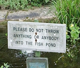 Fish Pond Funny Sign